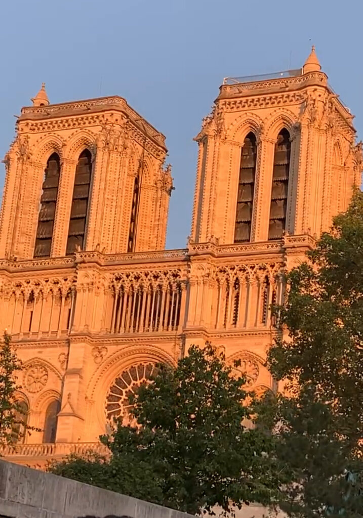 passeio pelo rio Sena - vista da Notre Dame